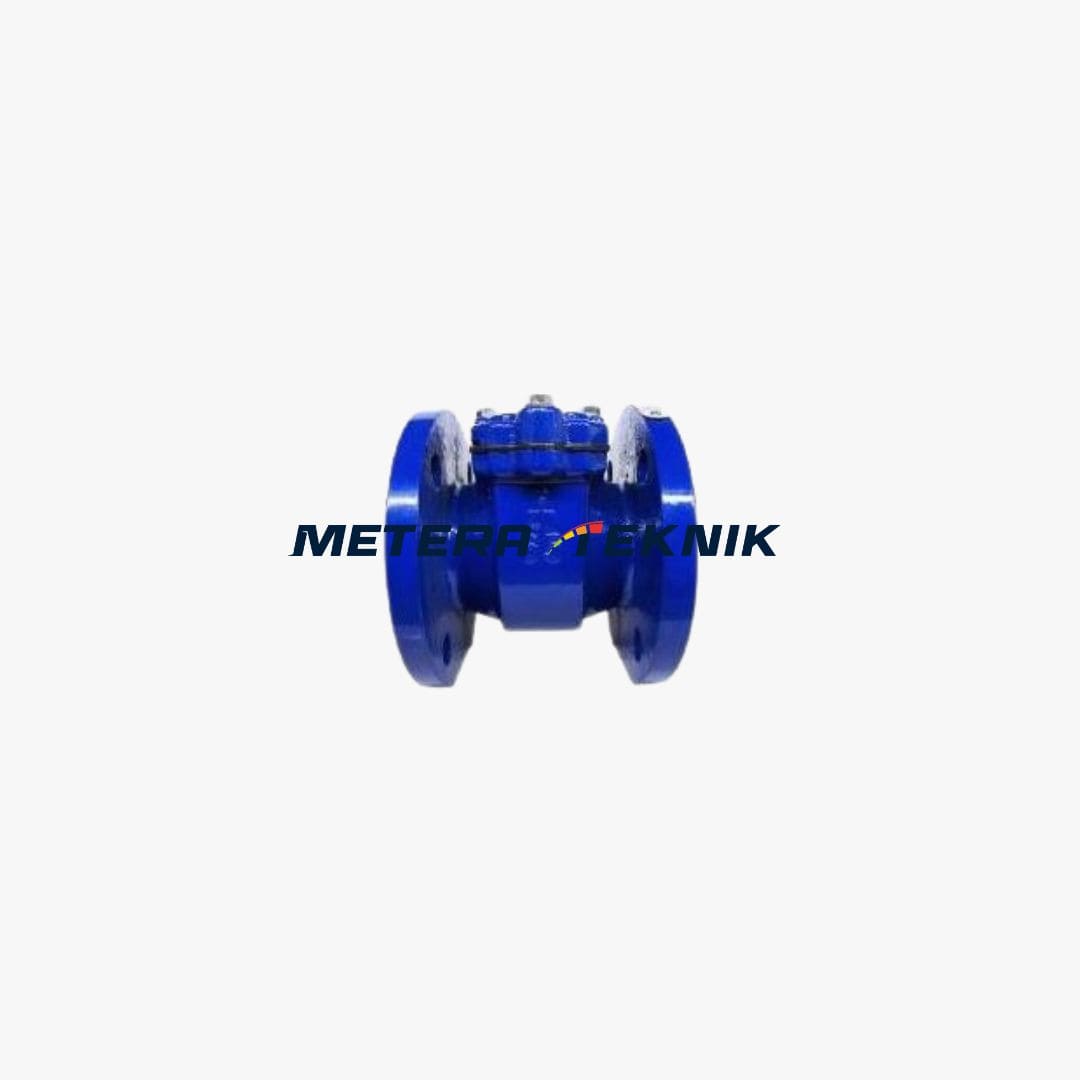 Jual Bulk Starainer Flow Meter SHM Size 2 1/2 Inch