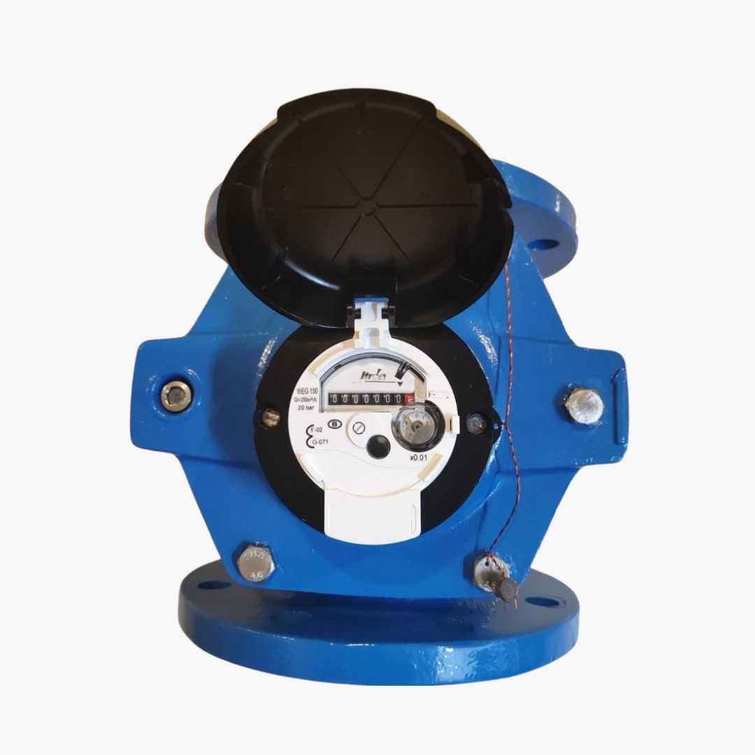 Water Meter Itron