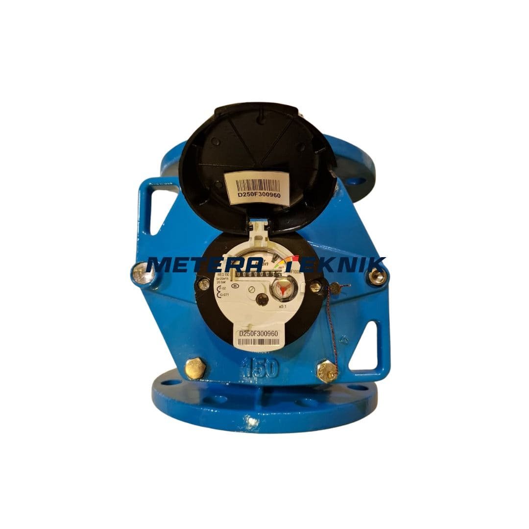 Jual Water Meter Itron Size 6 Inch